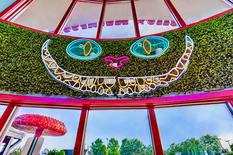 Cheshire Cat Neon Lights
