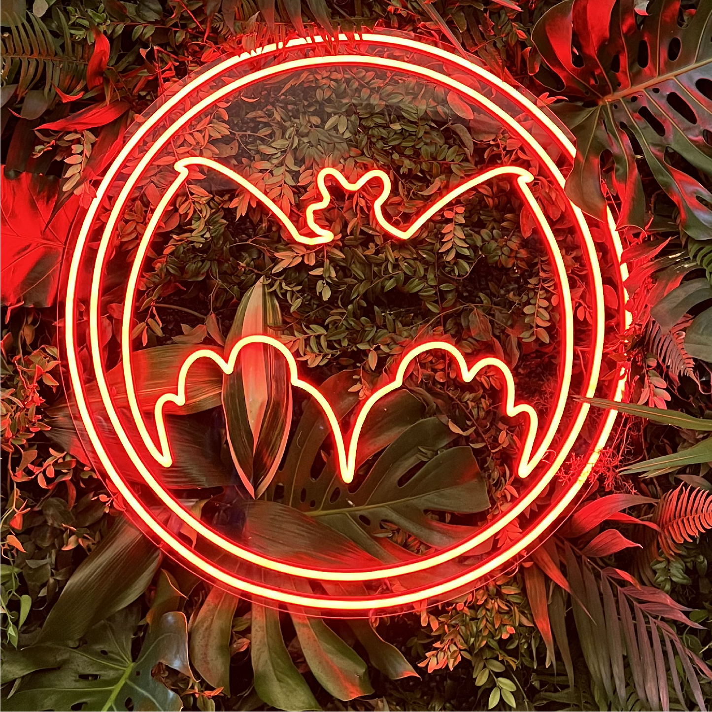 Bacardi Neon Signs
