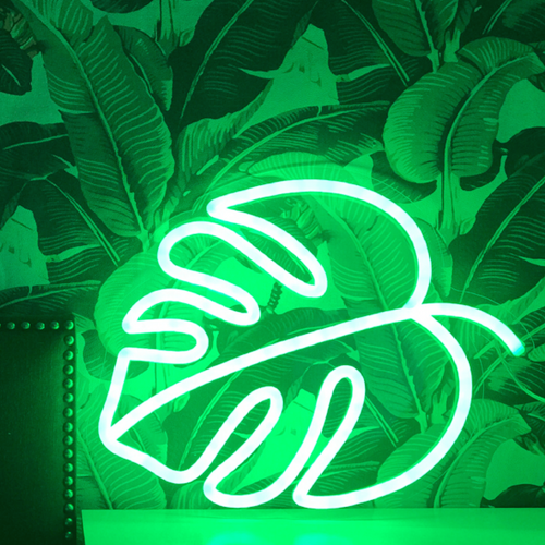 MONSTERA LEAF